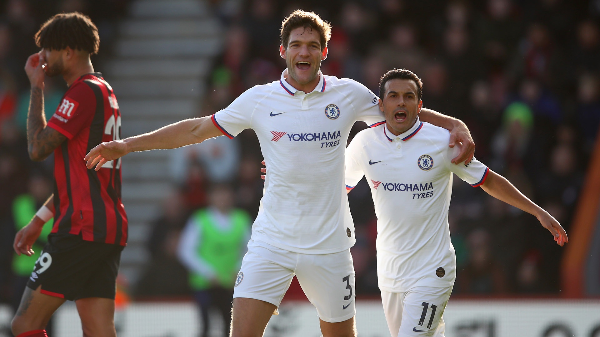 足球世界的 足球世界的