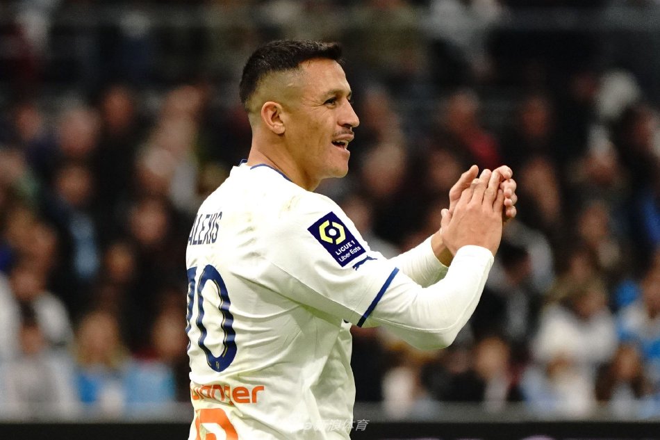 人才培养体 人才培养体